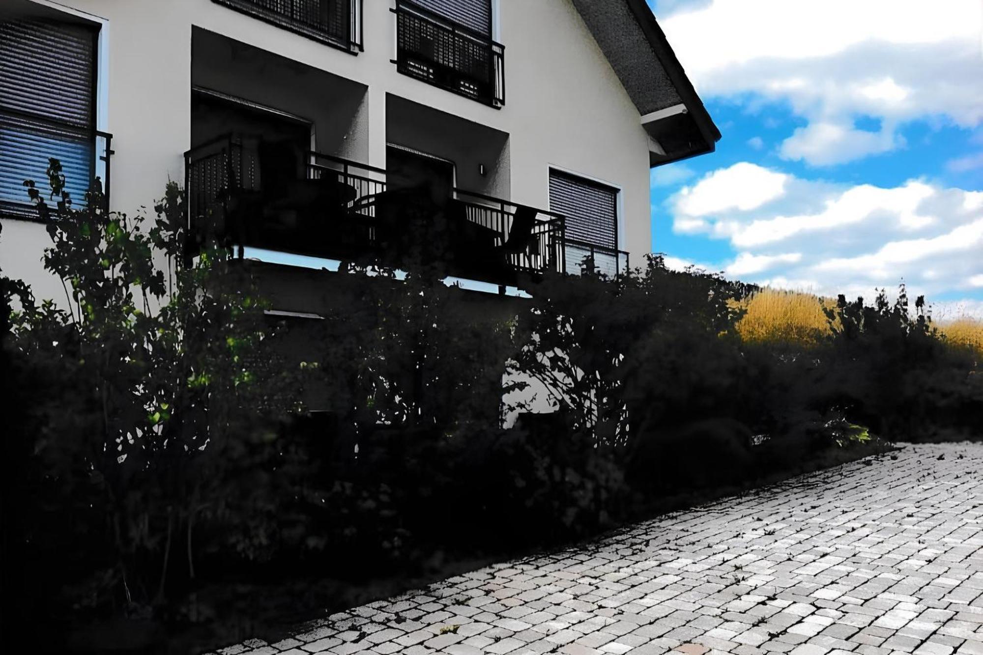 Ferienwohnung Blanco In Willingen วิลลิงเงิน ภายนอก รูปภาพ